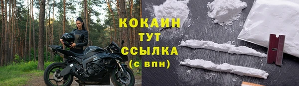apvp Магадан