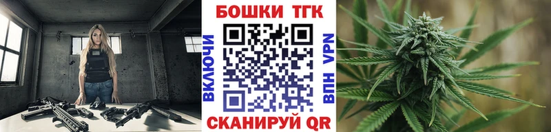 Шишки марихуана OG Kush Елизаветинская